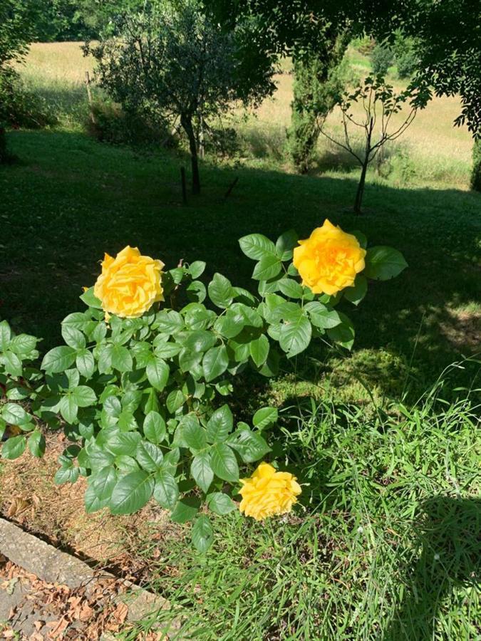 Le Mulina Vila Barberino di Mugello Exterior foto